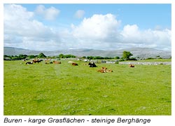 Die Burren Region - Schöne Anwesen - karge Grasflächen - steinige Berghänge