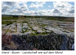Burren - Kalksteingebiet - eine Mond-Landschaft