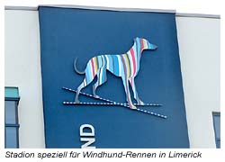 Windhund Rennen im Stadtion von Limerick