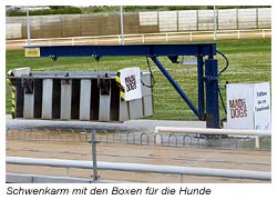 Windhund Rennen - der Schwenkarm mit den Boxen