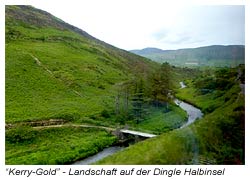 Landschaft - Dingle Halbinsel in Irland