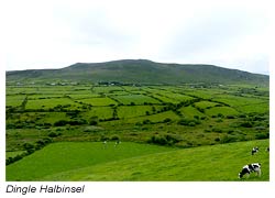 Dingle Halbinsel - Kerry-Gold Werbelandschaft