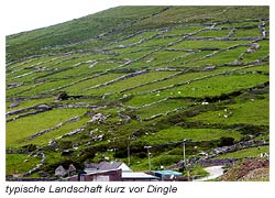 Dingle Halbinsel - kurz vor dem Städtchen Dingle