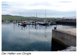 Hafenanlage - Dingle - Irland