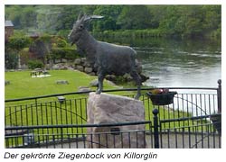 Der gekrönte Ziegenbock von Killorglin