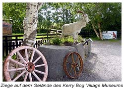 im Kerry Bog Village Museum