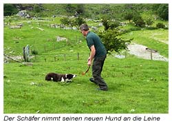 Der Schäfer muss seinen neuen Hund wieder an die Leine nehmen